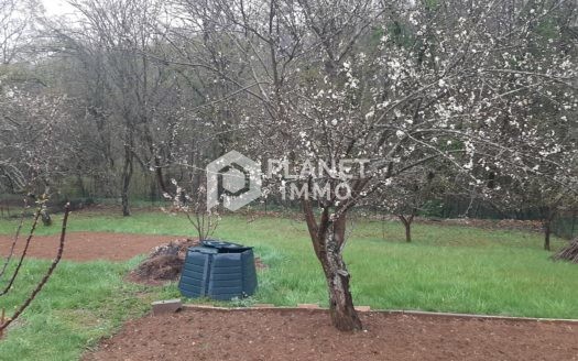 Maison à Mont-Saint-Martin