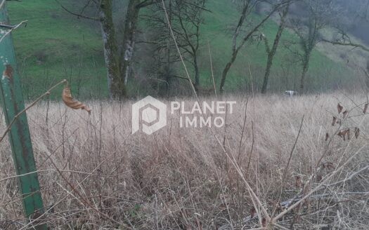 Terrain constructible