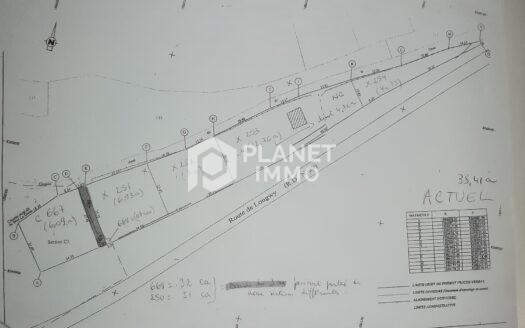 Terrain constructible