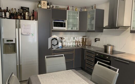 Maison individuelle + Appartement