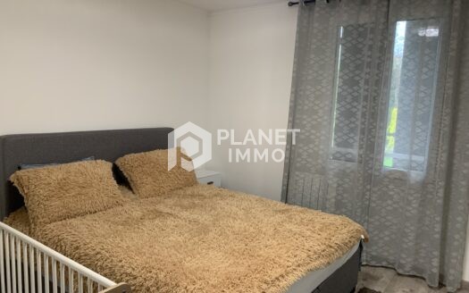 Maison individuelle + Appartement